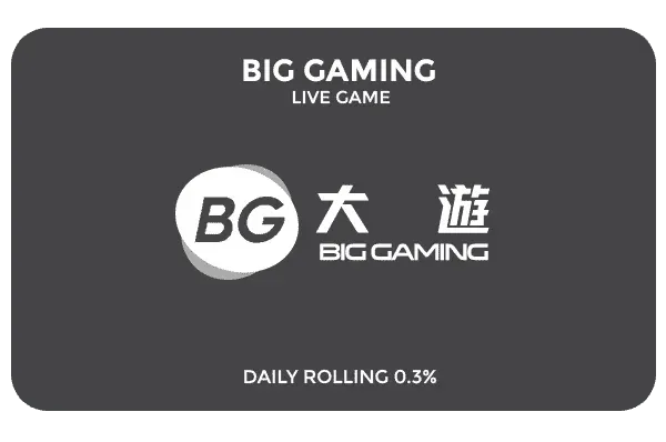 BIG GAMING