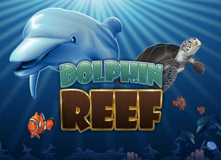Dolphin-Reef